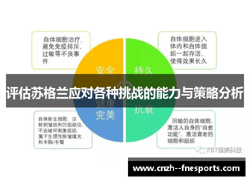评估苏格兰应对各种挑战的能力与策略分析