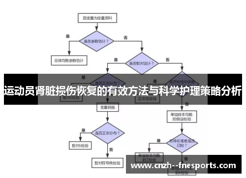 运动员肾脏损伤恢复的有效方法与科学护理策略分析 运动员肾脏损伤恢复的有效方法与科学护理策略分析